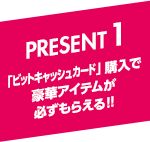 PRESENT1 「ビットキャッシュカード」購入で豪華アイテムが必ずもらえる!!