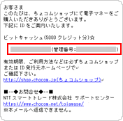 本人認証が完了すると購入が完了します。お客様情報で登録したメールアドレス宛てに購入したビットキャッシュの情報が送信されます。