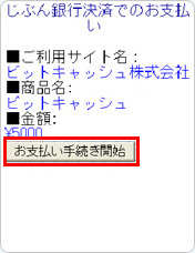内容を確認し、「お支払い手続き開始」ボタンを押してください。