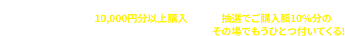 キャンペーン期間中、セブン‐イレブン設置のマルチコピー機にて、ビットキャッシュを10,000円分以上購入すると、抽選でご購入額10％分のビットキャッシュが当たる!!当たるとひらがなIDがその場でもうひとつ付いてくる！