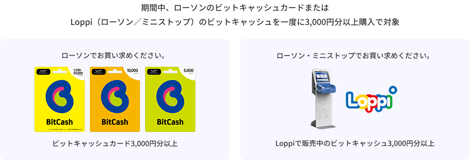 対象商品
