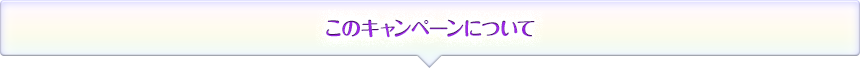 このキャンペーンについて