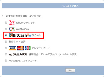 購入ページでビットキャッシュを選択してください。