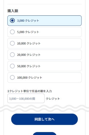 購入額を選択し、規約に同意の上[同意して次へ]を押します。