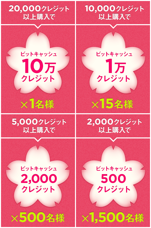 ビットキャッシュ BitCash 20000 クレジット 値下げ！BitCash ビットキャッシュ 30,000クレジット コード通知のみ