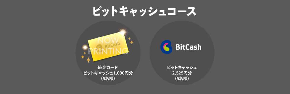 ビットキャッシュコース